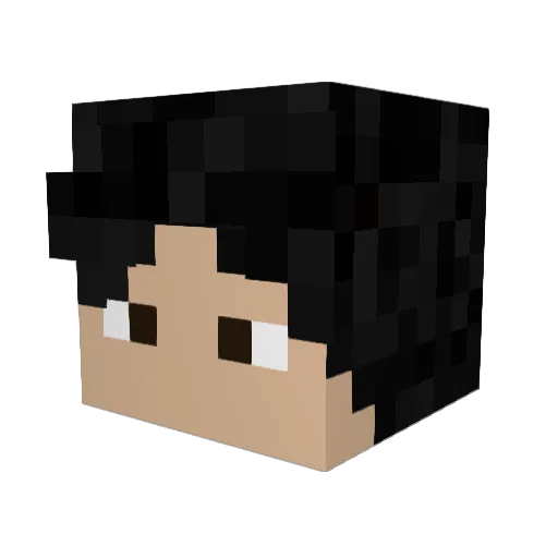 Bronze423 Minecraft avatar head, 3D render