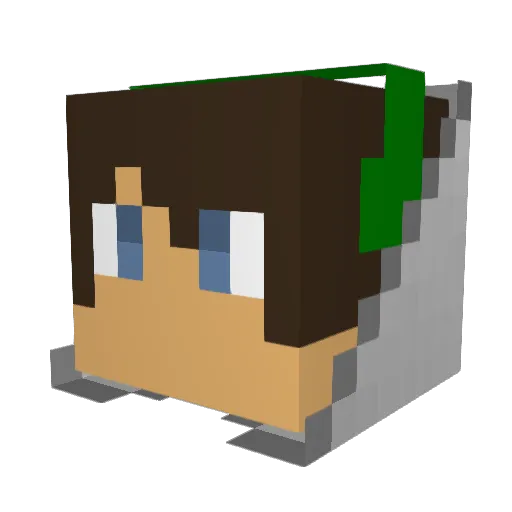 BronzeDragon76 Minecraft avatar head, 3D render