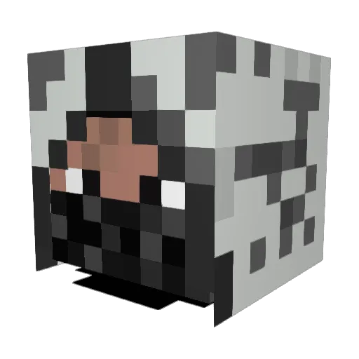 Bronzesword94 Minecraft avatar head, 3D render