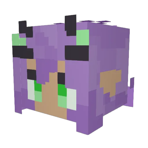 BrooXus_TV Minecraft avatar head, 3D render