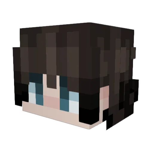 Brooglee Minecraft avatar head, 3D render