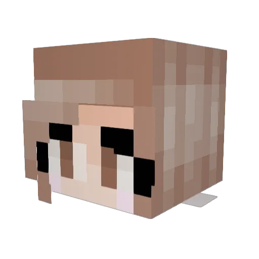 BrookAndBailey Minecraft avatar head, 3D render