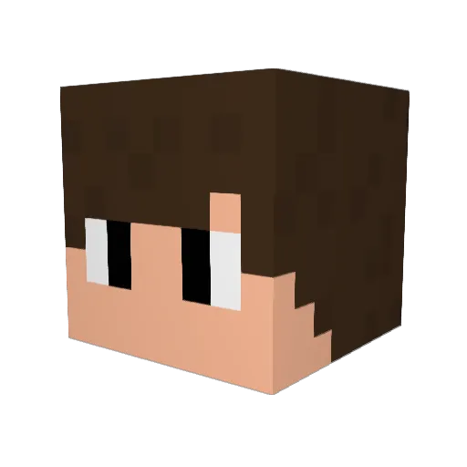 Brook_awp Minecraft avatar head, 3D render