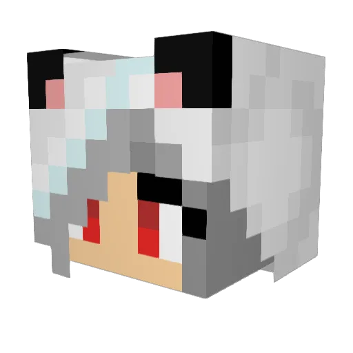 Brookaholic Minecraft avatar head, 3D render