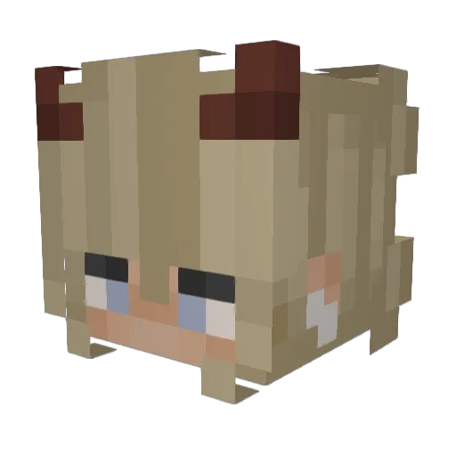 BrookeGrace_ Minecraft avatar head, 3D render