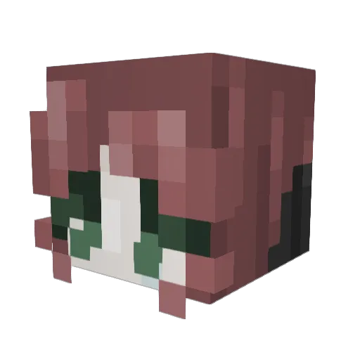 BrookeUwU Minecraft avatar head, 3D render