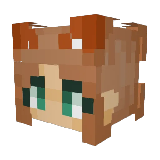 BrookeWTF Minecraft avatar head, 3D render