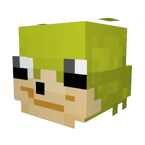 Brookes_Husband Minecraft avatar head, 3D render