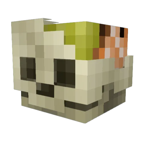 Brookeser Minecraft avatar head, 3D render