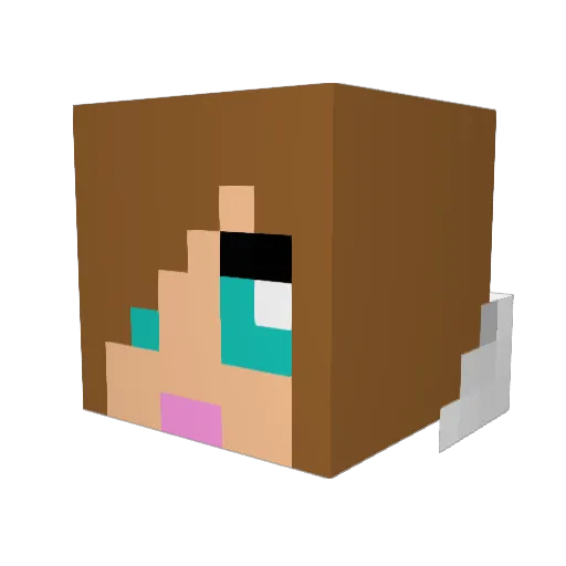 Brookie2bows Minecraft avatar head, 3D render