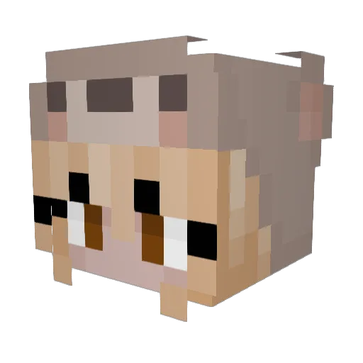 Brookie620 Minecraft avatar head, 3D render
