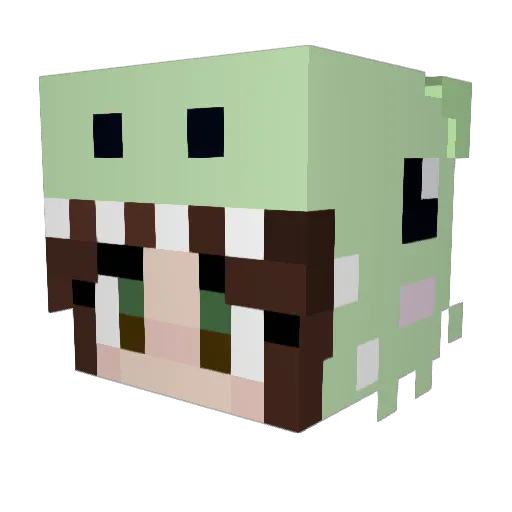 BrookieCookie003 Minecraft avatar head, 3D render