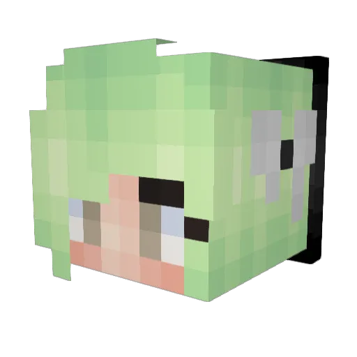 BrookieCookie10 Minecraft avatar head, 3D render