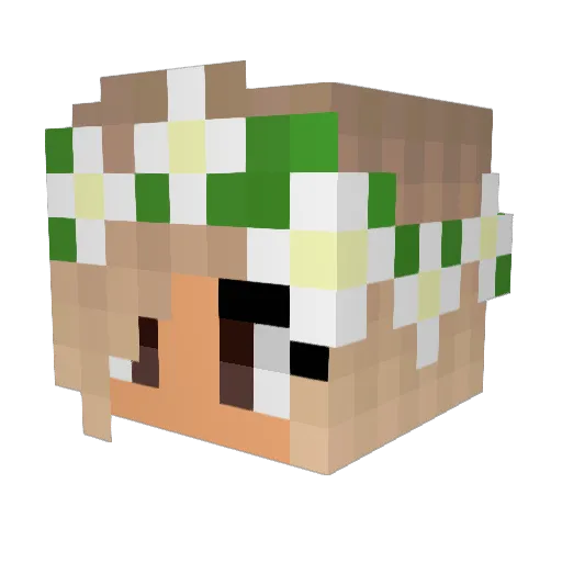 BrookieCookie430 Minecraft avatar head, 3D render