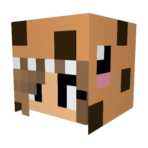 BrookieCookie712 Minecraft avatar head, 3D render