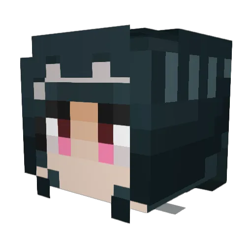BrookieDJ Minecraft avatar head, 3D render