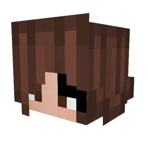 BrookieTrout_ Minecraft avatar head, 3D render