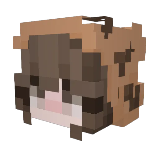 BrookieUwU Minecraft avatar head, 3D render