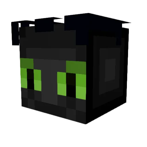 Brookiekat5 Minecraft avatar head, 3D render