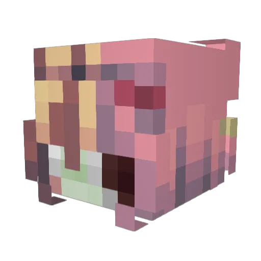 Brookilla Minecraft avatar head, 3D render