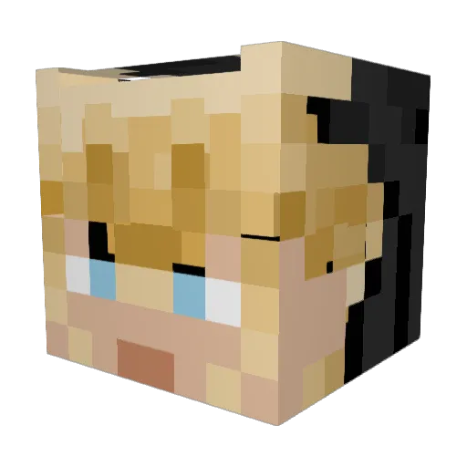 Brooklynne2553 Minecraft avatar head, 3D render