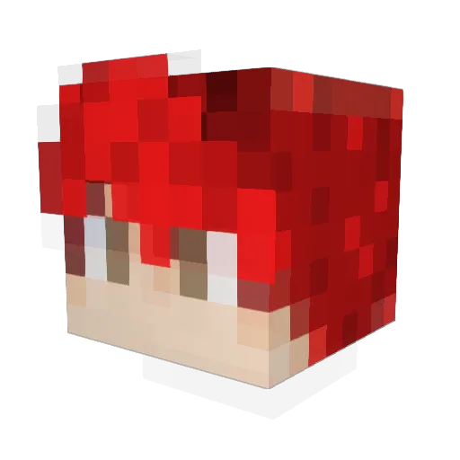 BrooksGaming953 Minecraft avatar head, 3D render