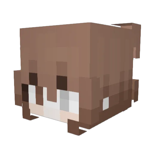 Brookster215 Minecraft avatar head, 3D render