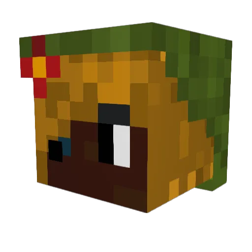 Brookwom Minecraft avatar head, 3D render