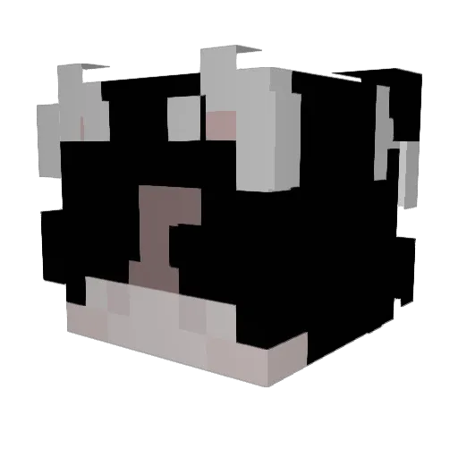 Broosk04 Minecraft avatar head, 3D render