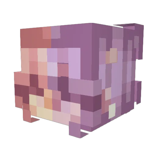 Brooxk Minecraft avatar head, 3D render