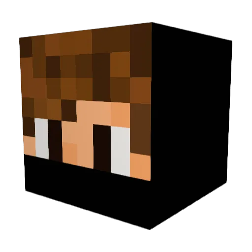 Bropen Minecraft avatar head, 3D render
