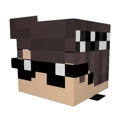 Bros4Life_LP Minecraft avatar head, 3D render