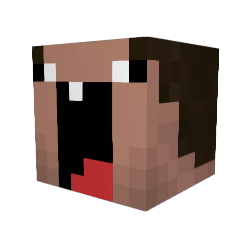 BrosTrippin Minecraft avatar head, 3D render