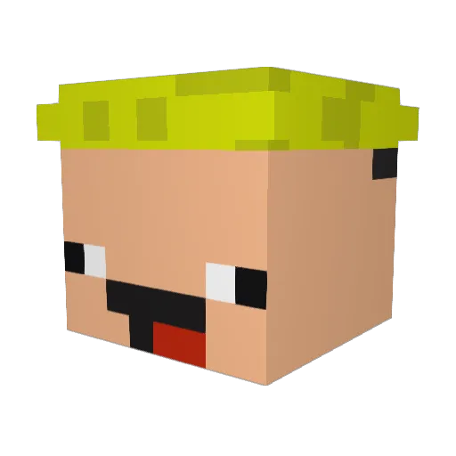 Brosci05 Minecraft avatar head, 3D render