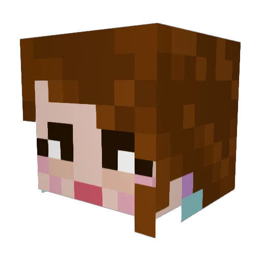 Brosieee Minecraft avatar head, 3D render