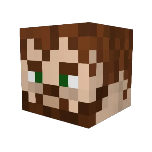 Brossmas Minecraft avatar head, 3D render
