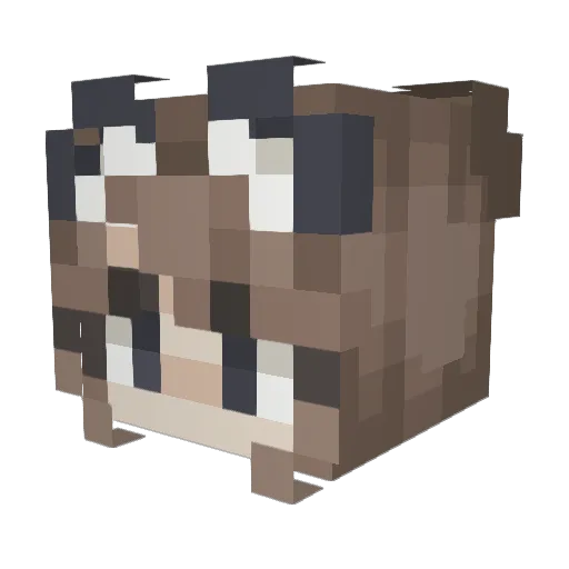 Brotchenmacher Minecraft avatar head, 3D render