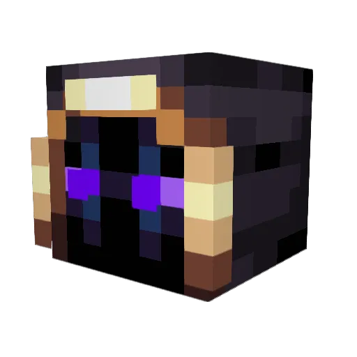 BrotherBear19 Minecraft avatar head, 3D render