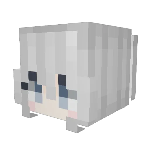 BrotherDarwin Minecraft avatar head, 3D render