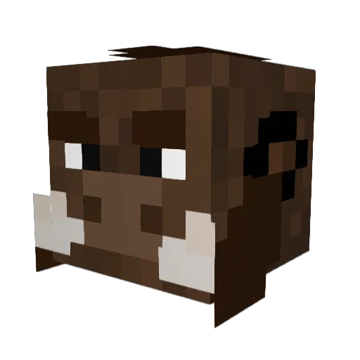 Brother_Boar Minecraft avatar head, 3D render