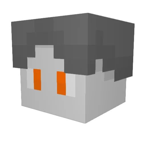 Brother_Penguin Minecraft avatar head, 3D render