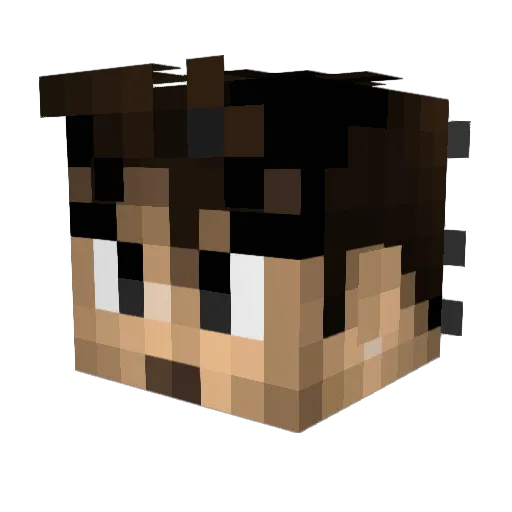 Brother_Pig_123 Minecraft avatar head, 3D render
