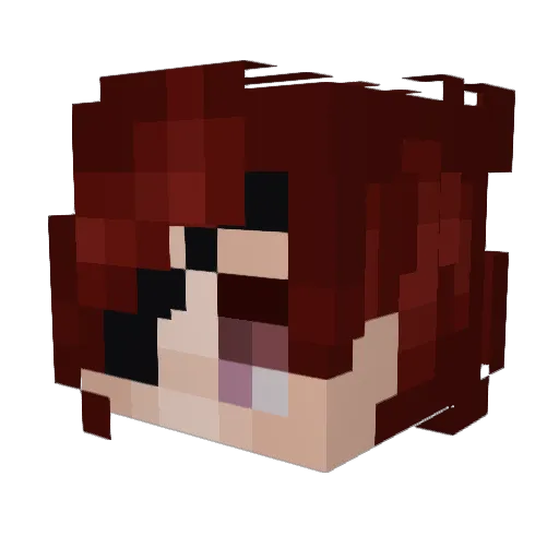BrothersDM Minecraft avatar head, 3D render
