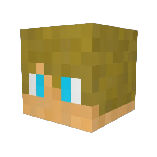 BrothersDiaz Minecraft avatar head, 3D render