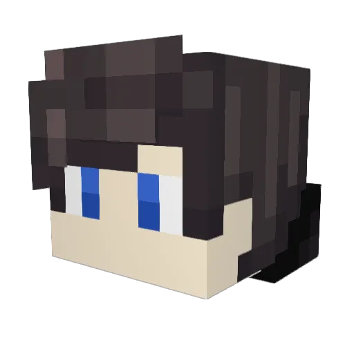 BrothersGrimm79 Minecraft avatar head, 3D render