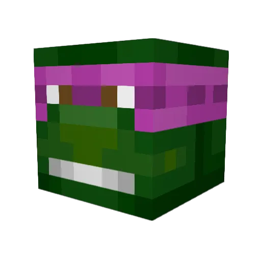 Brothertimswife Minecraft avatar head, 3D render