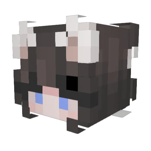 Browette Minecraft avatar head, 3D render
