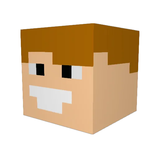 Browik Minecraft avatar head, 3D render
