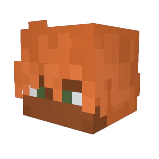 BrownBrethren Minecraft avatar head, 3D render