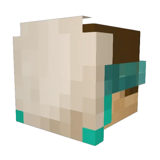 BrownKnight3574 Minecraft avatar head, 3D render